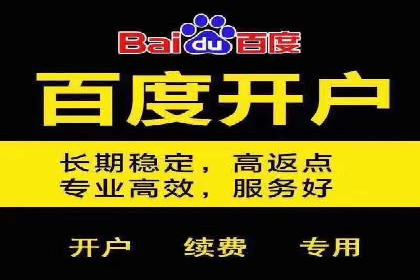 百度SEM代运营案例：如何通过精准投放提升广告效果